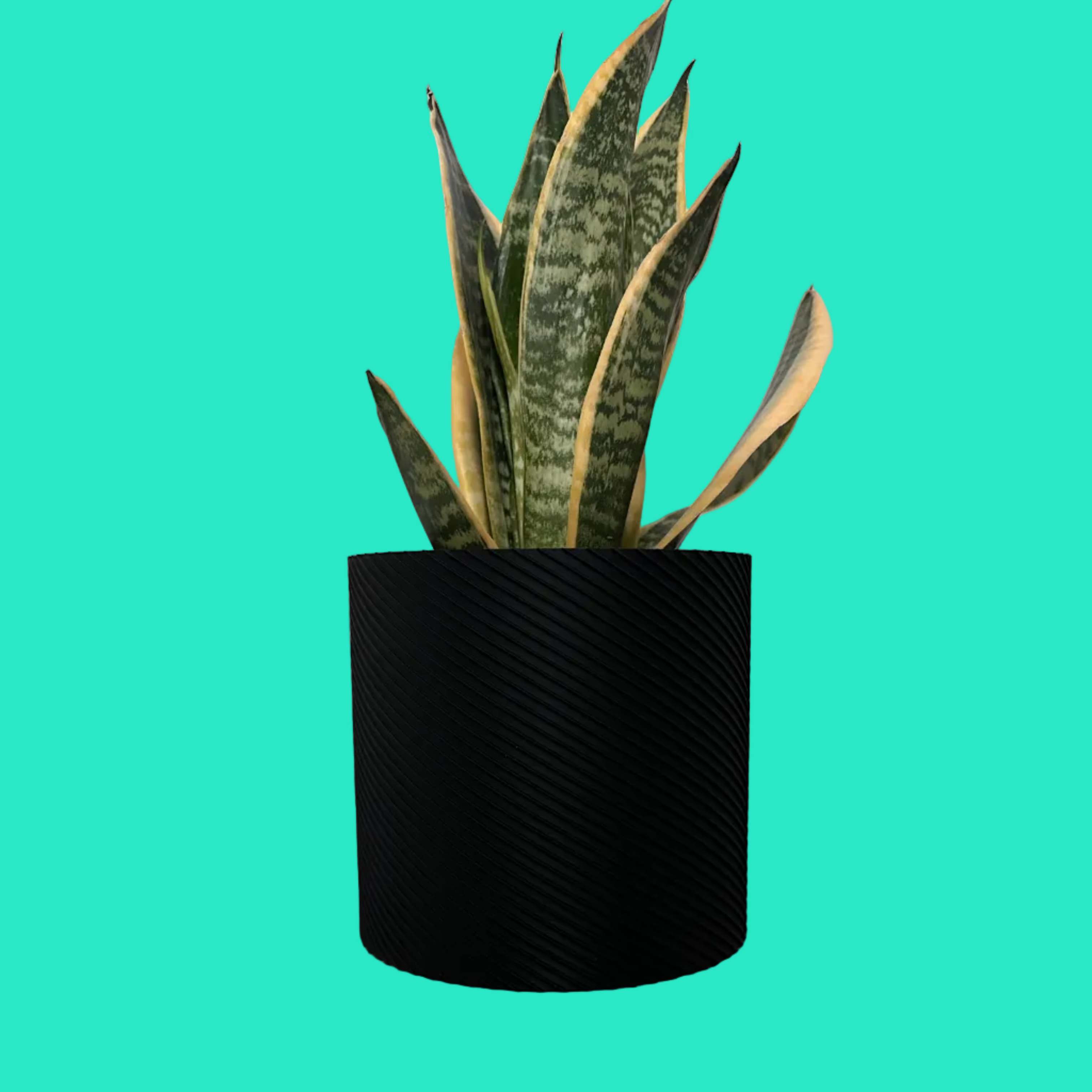 Vaso Design Spiral 3D – Porta Piante Moderno in PLA | 13,8x13,8x13h cm