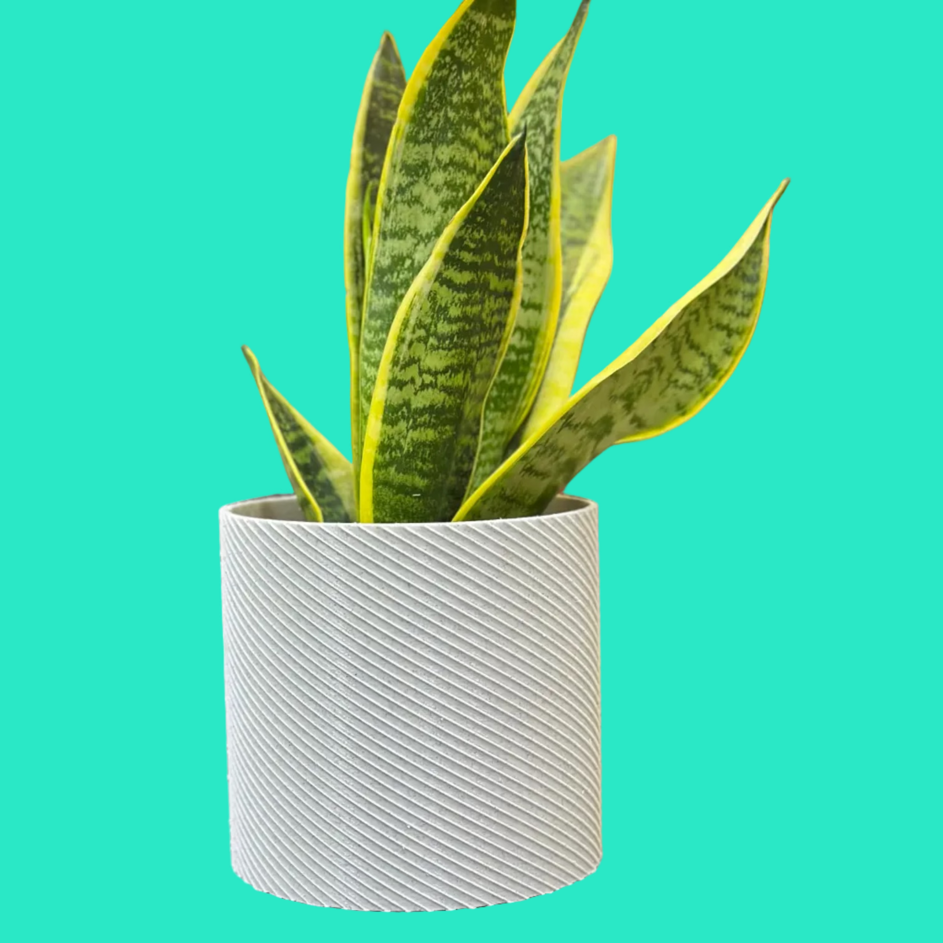 Vaso Design Spiral 3D – Porta Piante Moderno in PLA | 13,8x13,8x13h cm