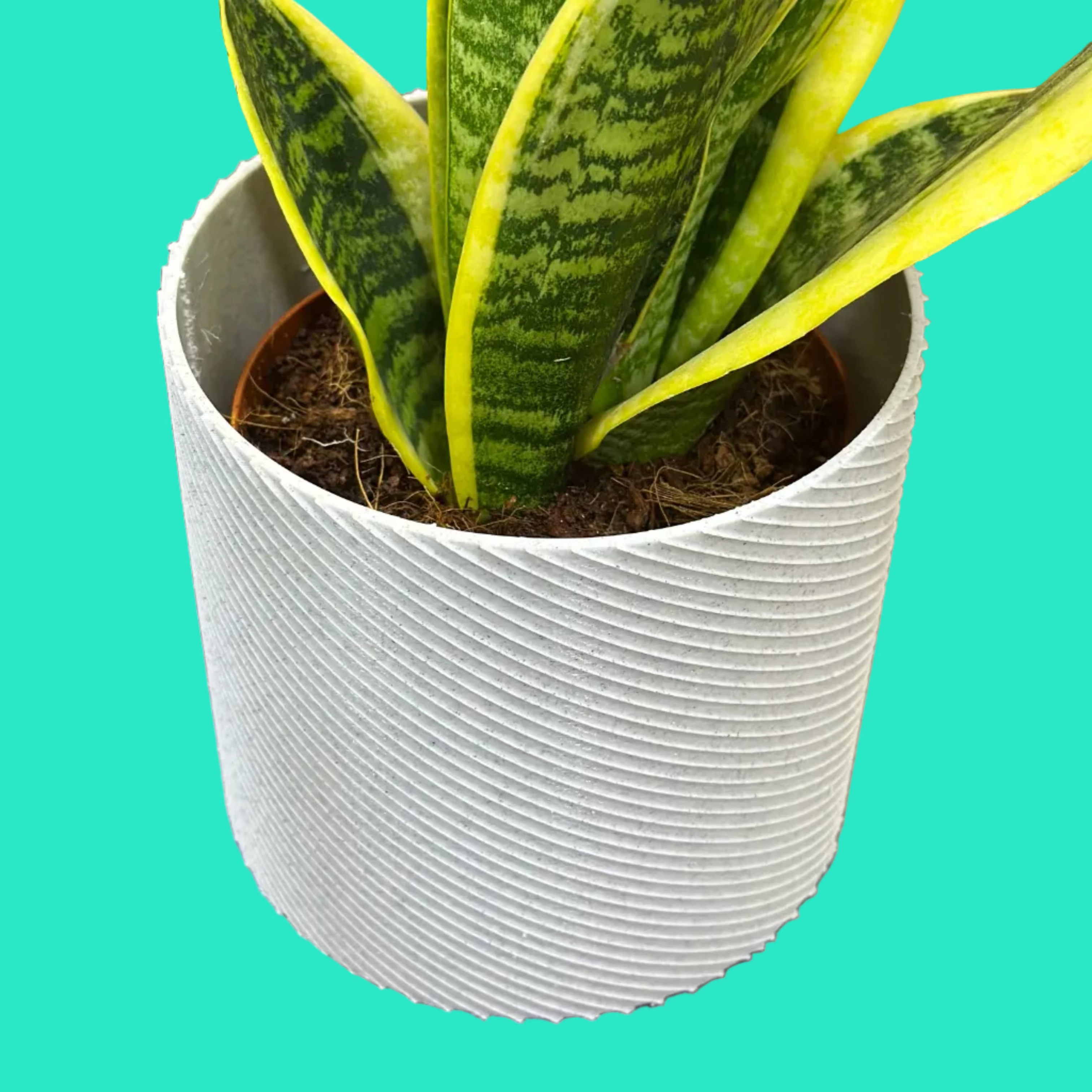 Vaso Design Spiral 3D – Porta Piante Moderno in PLA | 13,8x13,8x13h cm