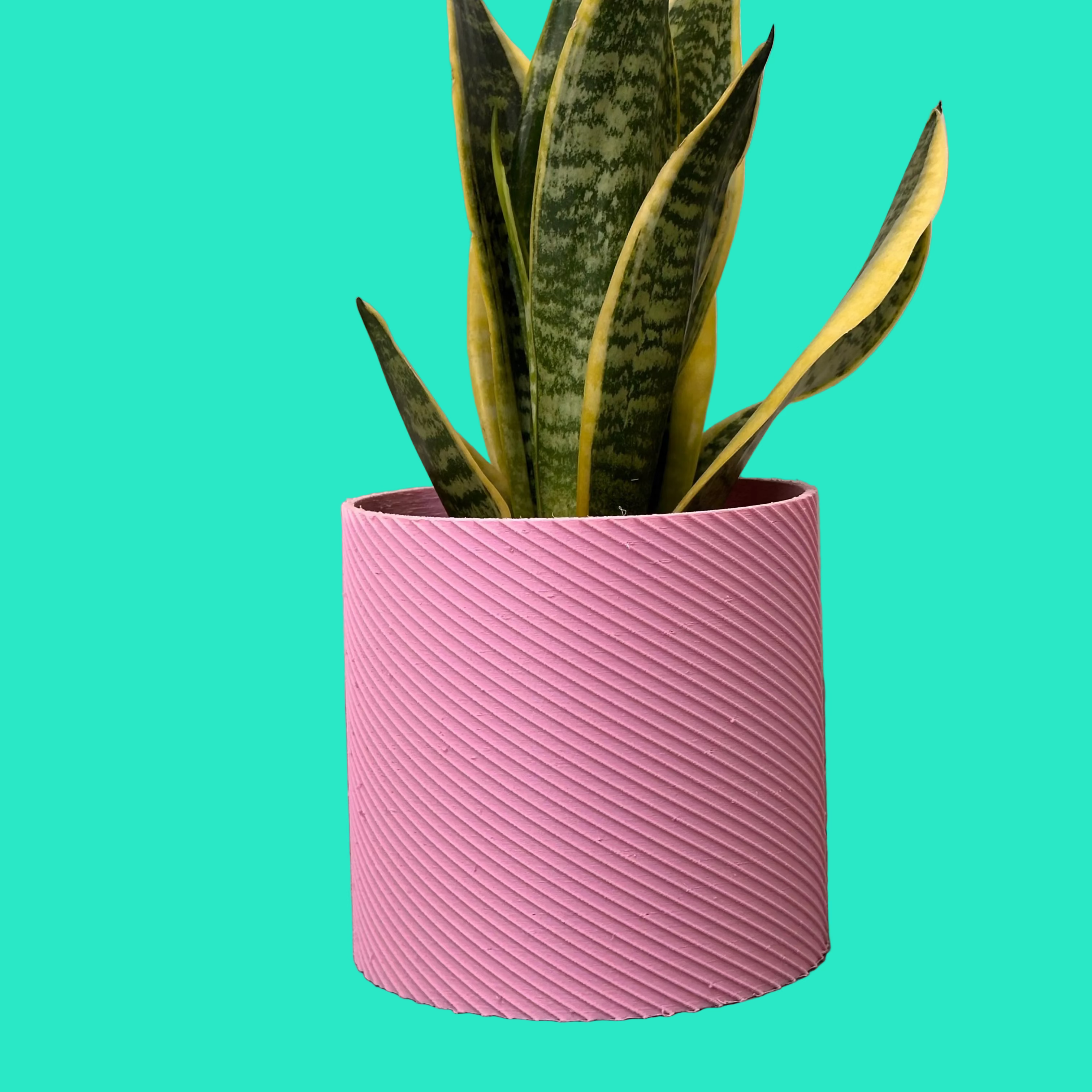 Vaso Design Spiral 3D – Porta Piante Moderno in PLA | 13,8x13,8x13h cm